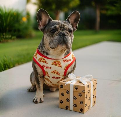 Show full view: Fabulous Fido Cooling Lightweight Breathable Dog Shirt, Pizza, Large slide 10 of 12