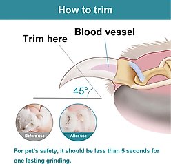 Pet Republique Large Nail Clipper & Grinder Rechargeable & Quite Multi-Speed Dog Nail Trimmer Kit slide 2 of 8