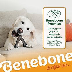 Benebone Wishbone Pumpkin Spice Tough Dog Chew Toy, Small slide 2 of 7