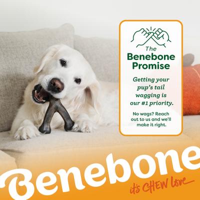 Show full view: Benebone Wishbone Pumpkin Spice Tough Dog Chew Toy, Small slide 7 of 9