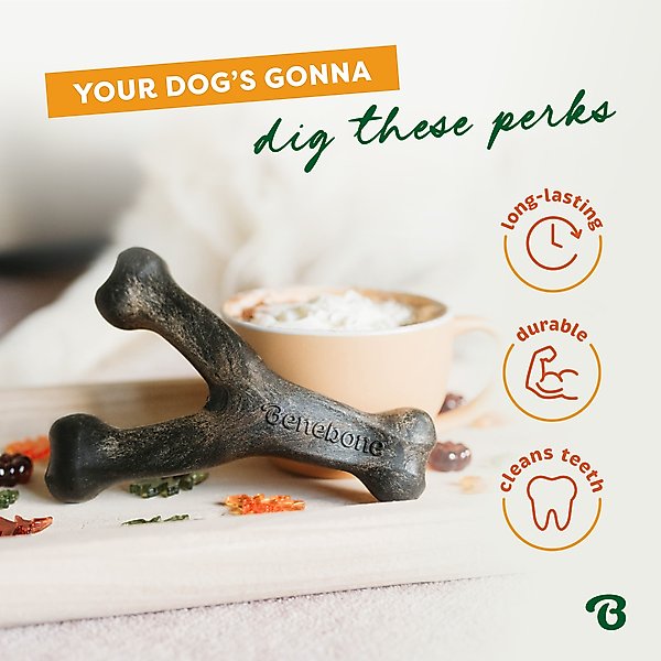 Show full view: Benebone Wishbone Pumpkin Spice Tough Dog Chew Toy, Small slide 5 of 8
