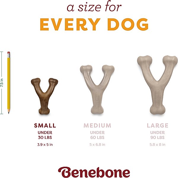 Show full view: Benebone Wishbone Pumpkin Spice Tough Dog Chew Toy, Small slide 3 of 8