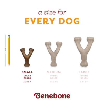 Show full view: Benebone Wishbone Pumpkin Spice Tough Dog Chew Toy, Small slide 3 of 9