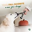 Show in main carousel: Benebone Wishbone Pumpkin Spice Tough Dog Chew Toy, Small slide 6 of 8