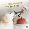 Show in main carousel: Benebone Wishbone Pumpkin Spice Tough Dog Chew Toy, Small slide 5 of 8