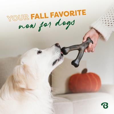 Show full view: Benebone Wishbone Pumpkin Spice Tough Dog Chew Toy, Small slide 5 of 8