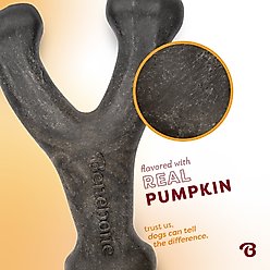 Benebone Wishbone Pumpkin Spice Tough Dog Chew Toy, Medium slide 2 of 8
