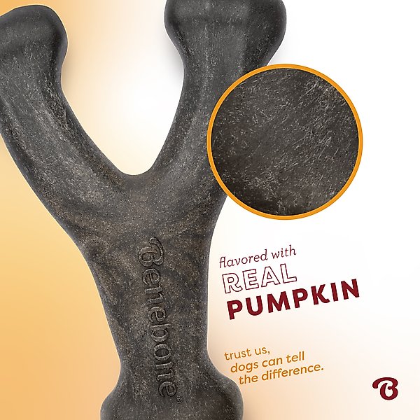 Show full view: Benebone Wishbone Pumpkin Spice Tough Dog Chew Toy, Small slide 4 of 8