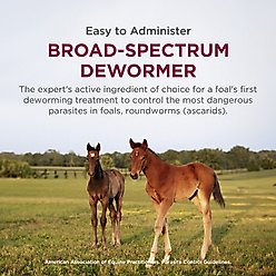 Anthelcide EQ Oxibendazole Paste Horse Dewormer, 0.85-oz syringe slide 2 of 7