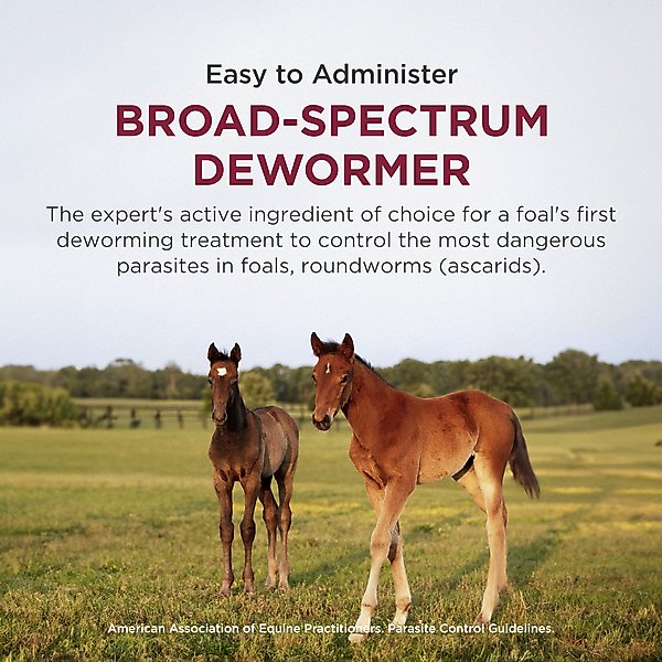 Show full view: Anthelcide EQ Oxibendazole Paste Horse Dewormer, 0.85-oz syringe slide 7 of 9
