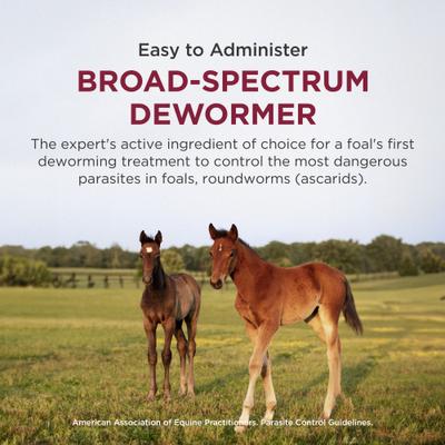 Show full view: Anthelcide EQ Oxibendazole Paste Horse Dewormer, 0.85-oz syringe slide 7 of 9