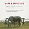 Show in main carousel: Anthelcide EQ Oxibendazole Paste Horse Dewormer, 0.85-oz syringe slide 5 of 9
