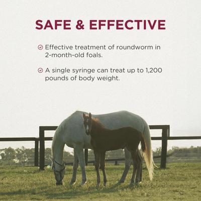 Show full view: Anthelcide EQ Oxibendazole Paste Horse Dewormer, 0.85-oz syringe slide 5 of 9