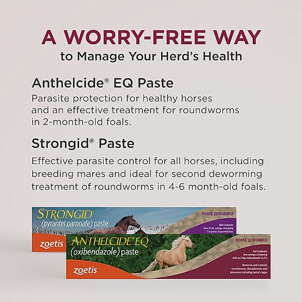 Show full view: Anthelcide EQ Oxibendazole Paste Horse Dewormer, 0.85-oz syringe slide 4 of 9