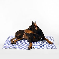 florence by mills Dog Throw Blanket, 47-in, Blue slide 1 of 4