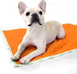 florence by mills Foldable Dog Travel Mat, 37-in, Green