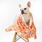 Show in main carousel: florence by mills Dog Throw Blanket, 47-in, Orange slide 3 of 5