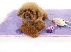 florence by mills Foldable Dog Travel Mat, 37-in, Pink slide 2 of 5