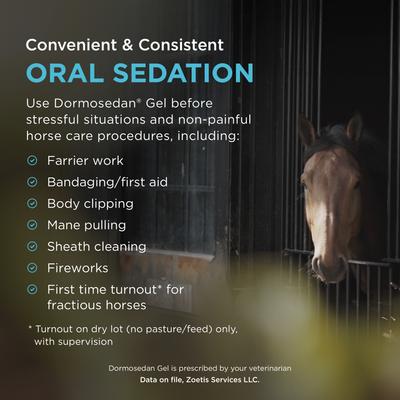 Dormosedan Gel for Horses, 3 mL Syringe