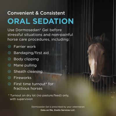 Show full view: Dormosedan Gel for Horses, 7.6 mg/mL, 3-mL oral syringe slide 5 of 8