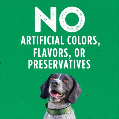 Show full view: Dog Chow High Protein Chicken in Savory Gravy Canned Dog Food, 13-oz can, case of 12 slide 5 of 11