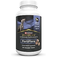 Will Adult Dog Food Constipate a Puppy? Essential Facts Revealed