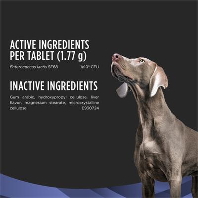 Purina Pro Plan Veterinary Diets FortiFlora Chewable Tablets Digestive Supplement for Dogs