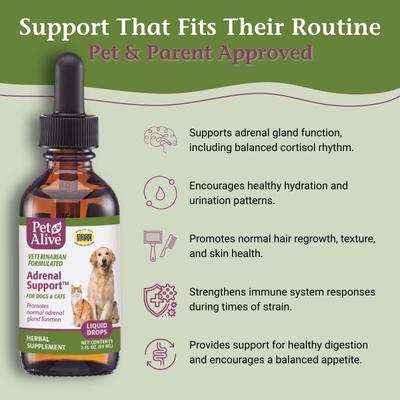 Show full view: PetAlive Adrenal Support Liquid Hormone Supplement for Dogs & Cats, 2-fl oz bottle slide 4 of 11