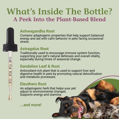 Show full view: PetAlive Adrenal Support Liquid Hormone Supplement for Dogs & Cats, 2-fl oz bottle slide 5 of 11