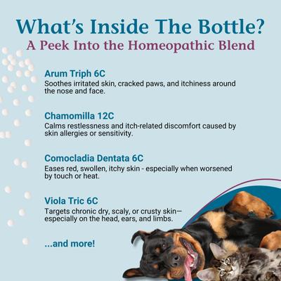 Show full view: PetAlive Allergy Itch Ease Granules Skin Itch & Allergies Supplement for Dogs & Cats, 1-oz jar slide 5 of 10