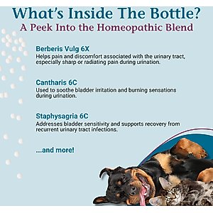 PetAlive UTI-Free Homeopathic Medicine for Urinary Tract Infections UTI for Dogs & Cats, 1-oz jar