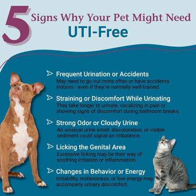Show full view: PetAlive UTI-Free Homeopathic Medicine for Urinary Tract Infections UTI for Dogs & Cats, 1-oz jar slide 3 of 11