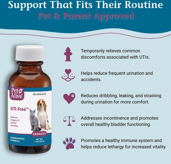 Frequent Urination Dog Uti Treatment Cost PETALIVE UTI-Free - Main Image