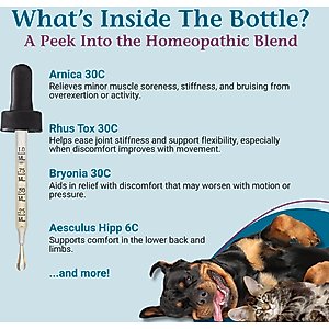 PetAlive ComfyPet Homeopathic Medicine for Pain for Cats & Dogs, 2-fl oz bottle