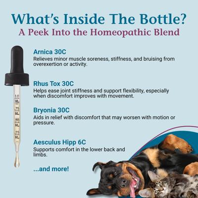Show full view: PetAlive ComfyPet Homeopathic Medicine for Pain for Cats & Dogs, 2-fl oz bottle slide 5 of 11