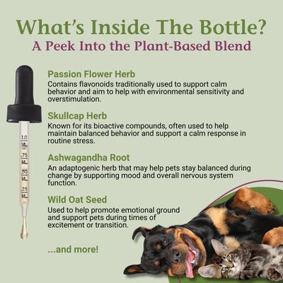 Show full view: PetAlive EaseSure-S Brain & Nervous System Support Dog & Cat Supplement, 2-fl oz bottle slide 5 of 11