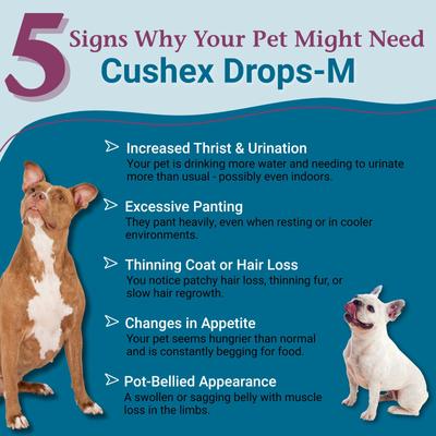 Show full view: PetAlive Cushex Drops-M Homeopathic Medicine for Cushing's Disease for Cats & Dogs, 2-fl oz bottle slide 3 of 11