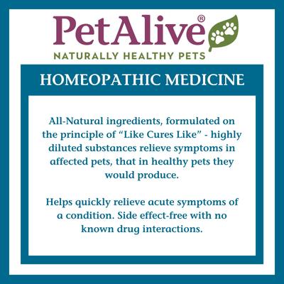 Show full view: PetAlive Allergy Itch Ease Granules Skin Itch & Allergies Supplement for Dogs & Cats, 1-oz jar slide 9 of 10