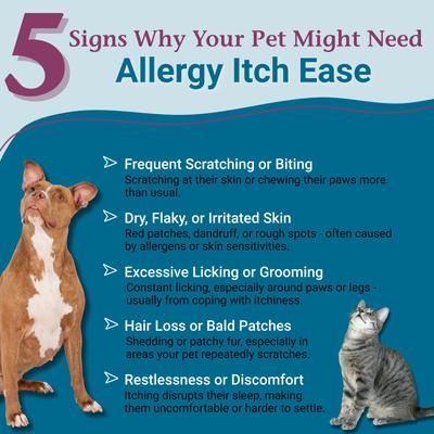 Show full view: PetAlive Allergy Itch Ease Granules Skin Itch & Allergies Supplement for Dogs & Cats, 1-oz jar slide 3 of 10