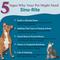 Show in main carousel: PetAlive Sinu-Rite Homeopathic Medicine for Allergies for Dogs, 180 count slide 3 of 11