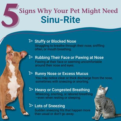 Show full view: PetAlive Sinu-Rite Homeopathic Medicine for Allergies for Dogs, 180 count slide 3 of 11