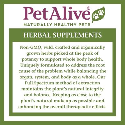 Show full view: PetAlive Adrenal Support Liquid Hormone Supplement for Dogs & Cats, 2-fl oz bottle slide 9 of 11