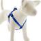 Show in main carousel: LupinePet Basic Solid Step In Dog Harness, Blue, Medium/Large: 20 to 30-in chest slide 1 of 7