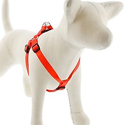 LupinePet Basic Solid Step In Dog Harness, Blaze Orange, Small: 15 to 21-in chest