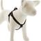 Show in main carousel: LupinePet Basic Solid Step In Dog Harness, Black, Medium/Large: 20 to 30-in chest slide 1 of 6