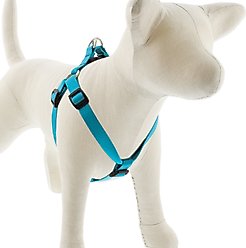 LupinePet Basic Solid Step In Dog Harness, Aqua, Medium/Large: 20 to 30-in chest