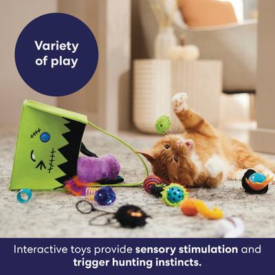 Show full view: Frisco Halloween Frankenstein Boo Basket Variety Pack Cat Toy with Silvervine & Catnip, 15 count slide 6 of 9