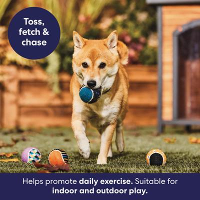 Show full view: Frisco Halloween Fetch Squeaky Tennis Ball Dog Toy, Candy Corn & Pumpkins, Medium, 4 count slide 5 of 8