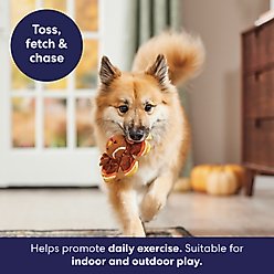 Frisco Fall Turkey Fetch Squeaky Tennis Ball Dog Toy, Large, 1 count slide 2 of 6