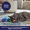 Show in main carousel: Frisco Halloween Vibrant Ghosts Plush, Teaser, Spring & Ball Variety Pack Cat Toy with Silvervine & Catnip, 12 count slide 5 of 8